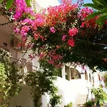 Chrysalis (adults Only) Hersonissos (Crete)